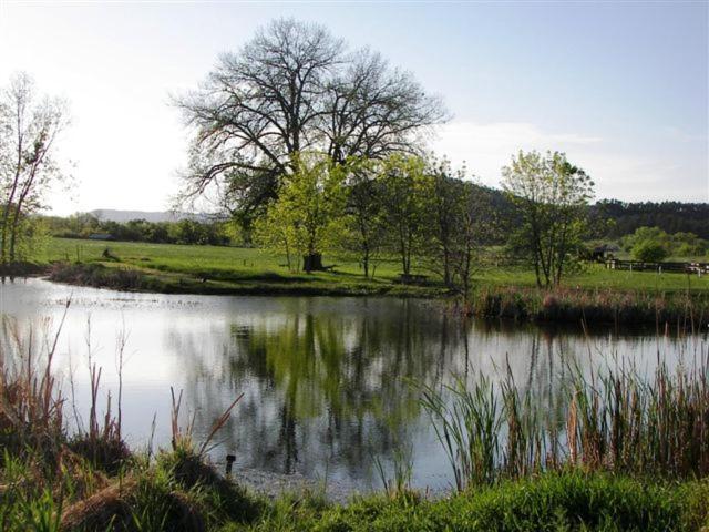 Elk Creek Resort Piedmont Bagian luar foto